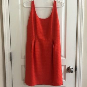 Orange/reddish knee length dress.